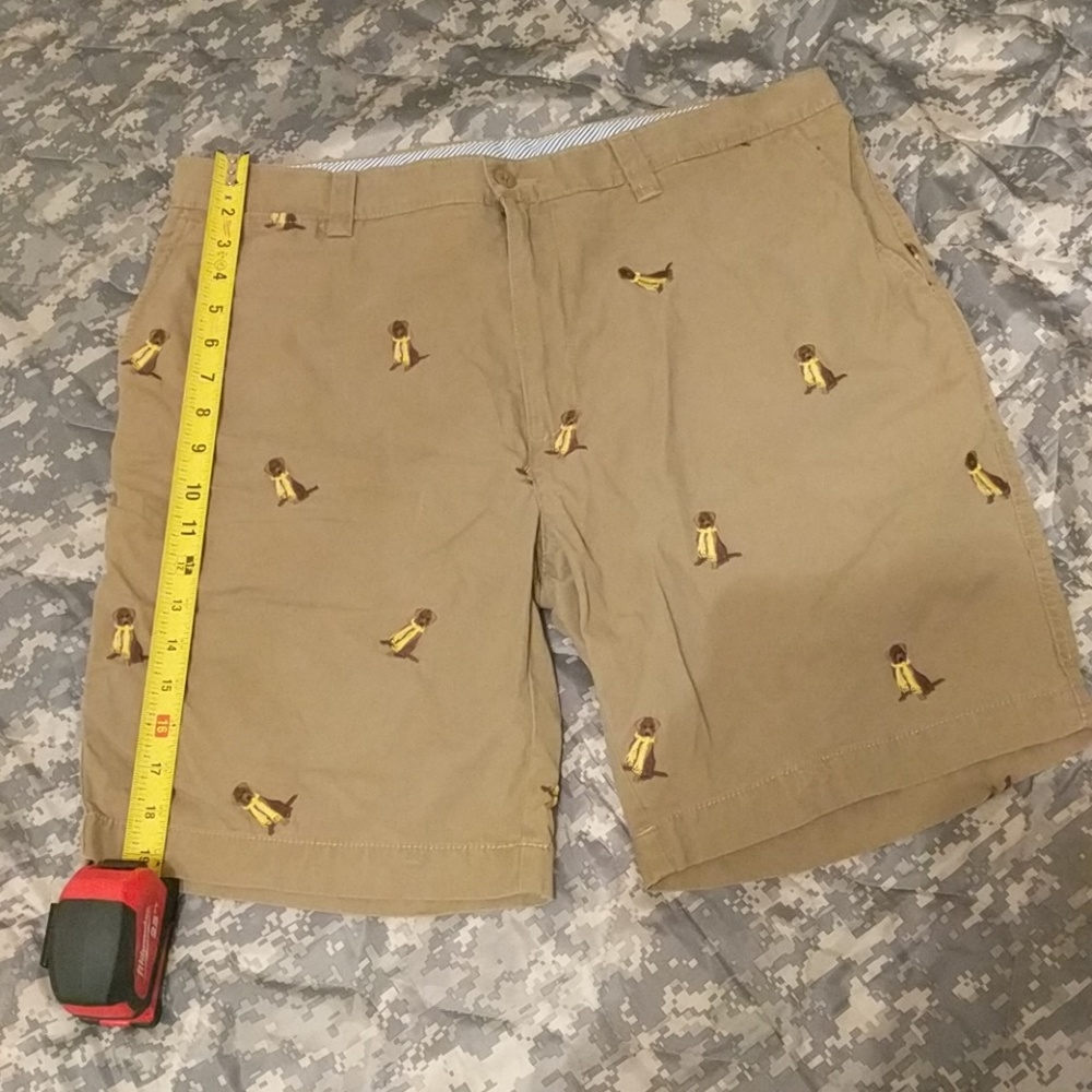 Embroidered puppy shorts. Cremieux size 36